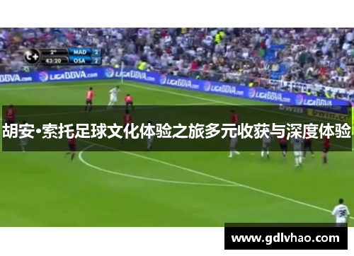 胡安·索托足球文化体验之旅多元收获与深度体验